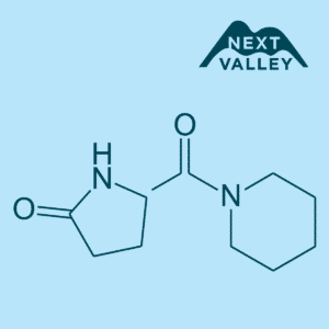 Fasoracetam