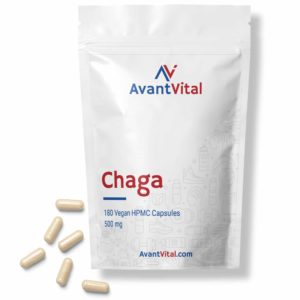 Chaga