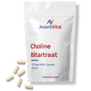 Choline Bitartrate - 500 mg